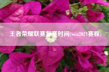 王者荣耀联赛复赛时间(wca2021赛程)