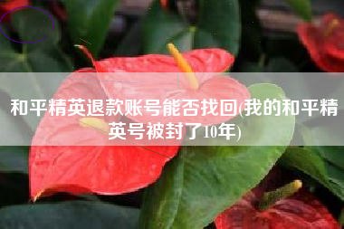 和平精英退款账号能否找回(我的和平精英号被封了10年)