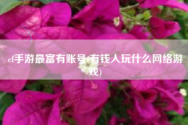 cf手游最富有账号(有钱人玩什么网络游戏)