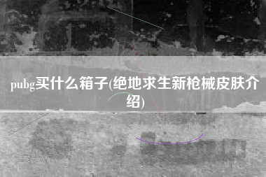 pubg买什么箱子(绝地求生新枪械皮肤介绍)