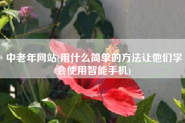 中老年网站(用什么简单的方法让他们学会使用智能手机)