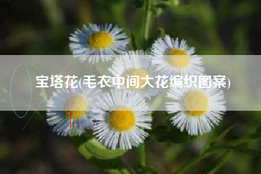 宝塔花(毛衣中间大花编织图案)