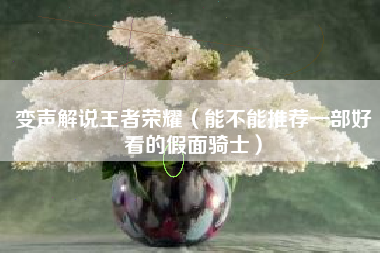 变声解说王者荣耀（能不能推荐一部好看的假面骑士）