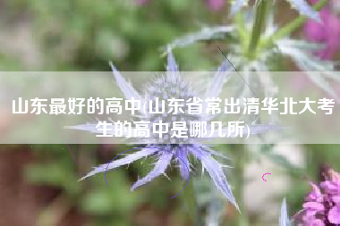 山东最好的高中(山东省常出清华北大考生的高中是哪几所)