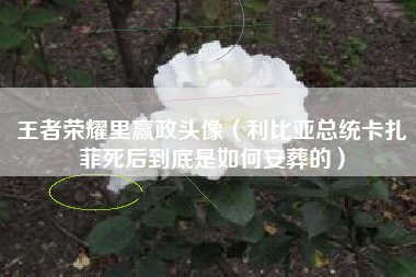 王者荣耀里赢政头像（利比亚总统卡扎菲死后到底是如何安葬的）