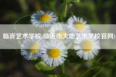 临沂艺术学校(临沂市大地艺术学校官网)