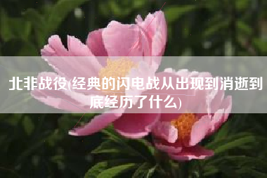 北非战役(经典的闪电战从出现到消逝到底经历了什么)