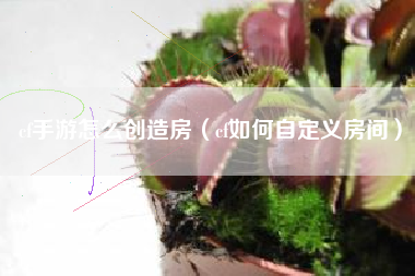 cf手游怎么创造房（cf如何自定义房间）