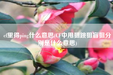 cf里得ping什么意思(CF中甩狙跳狙盲狙分别是什么意思)