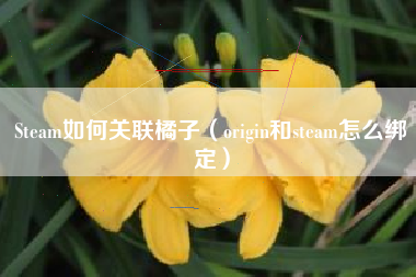 Steam如何关联橘子（origin和steam怎么绑定）