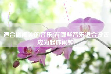 适合做闹钟的音乐(有哪些音乐适合设置成为起床闹钟)