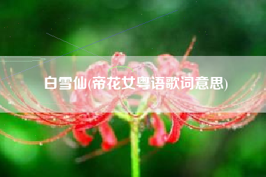 白雪仙(帝花女粤语歌词意思)