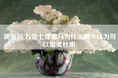 澜削弱(万楚七律骢马为什么被人认为可以媲美杜甫)