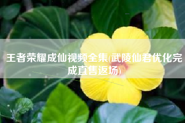 王者荣耀成仙视频全集(武陵仙君优化完成直售返场)