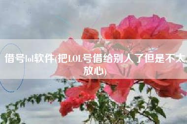 借号lol软件(把LOL号借给别人了但是不太放心)