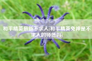 和平精英最新不求人(和平精英兔神是不求人的师傅吗)