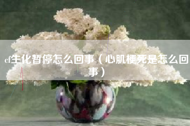 cf生化暂停怎么回事（心肌梗死是怎么回事）