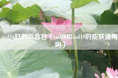 cod16好的组合包（cod18和cod19的皮肤通用吗）