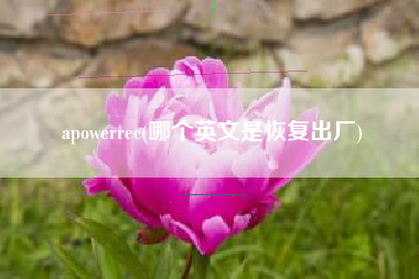 apowerrec(哪个英文是恢复出厂)