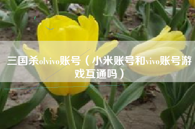 三国杀olvivo账号（小米账号和vivo账号游戏互通吗）