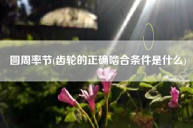 圆周率节(齿轮的正确啮合条件是什么)