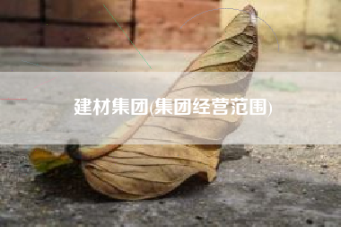 建材集团(集团经营范围)