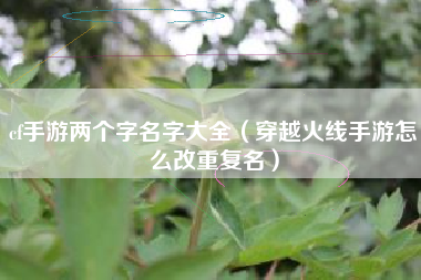 cf手游两个字名字大全（穿越火线手游怎么改重复名）