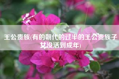 王公贵族(有的朝代的过半的王公贵族子女没活到成年)