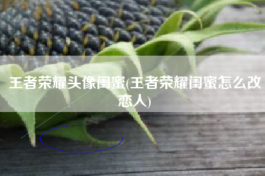 王者荣耀头像闺蜜(王者荣耀闺蜜怎么改恋人)