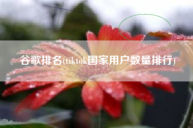 谷歌排名(tiktok国家用户数量排行)