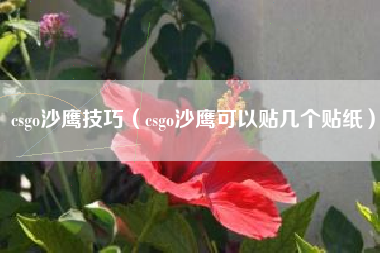 csgo沙鹰技巧（csgo沙鹰可以贴几个贴纸）