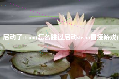 启动了steam(怎么跳过启动steam直接游戏)