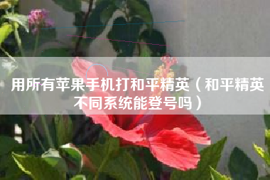 用所有苹果手机打和平精英（和平精英不同系统能登号吗）