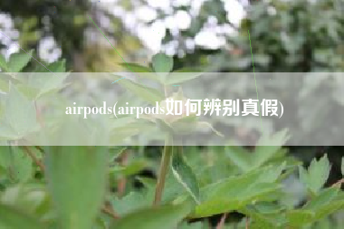 airpods(airpods如何辨别真假)