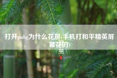 打开pubg为什么花屏(手机打和平精英屏幕花的)