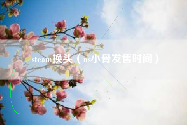 steam换头（ns小骨发售时间）