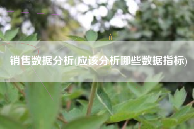 销售数据分析(应该分析哪些数据指标)