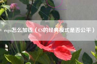 csgo怎么加钱（CS的经典模式是否公平）