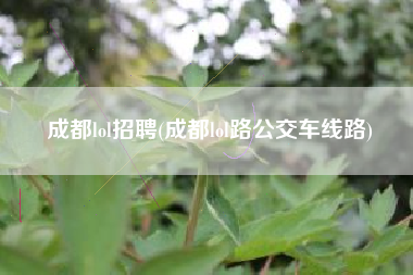 成都lol招聘(成都lol路公交车线路)