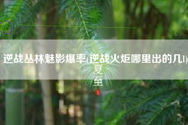 逆战丛林魅影爆率(逆战火炬哪里出的几l)