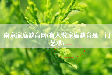 南京家庭教育网(有人说家庭教育是一门艺术)