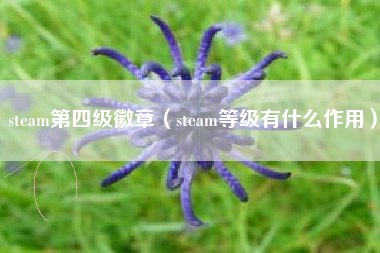 steam第四级徽章（steam等级有什么作用）