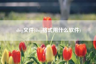 dwg文件(dwg格式用什么软件)