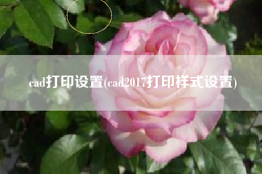 cad打印设置(cad2017打印样式设置)