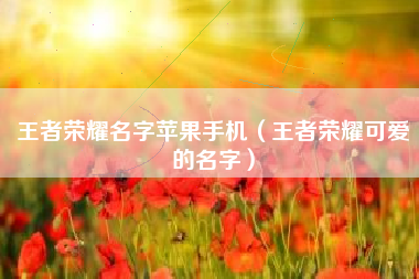 王者荣耀名字苹果手机（王者荣耀可爱的名字）