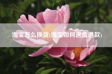 淘宝怎么换货(淘宝如何退货退款)