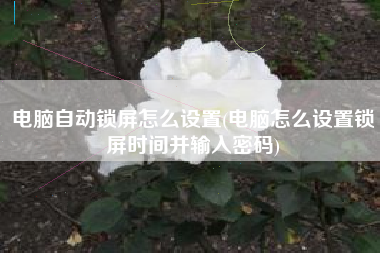 电脑自动锁屏怎么设置(电脑怎么设置锁屏时间并输入密码)