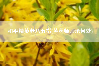 和平精英老八五指(黄药师师承何处)