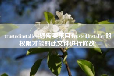 trustedinstaller(您需要来自TrustedInstaller的权限才能对此文件进行修改)