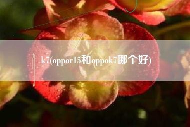 k7(oppor15和oppok7哪个好)